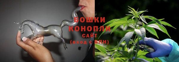 ГАЛЛЮЦИНОГЕННЫЕ ГРИБЫ Гусев