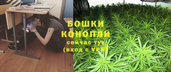 молекула духа Каменногорск