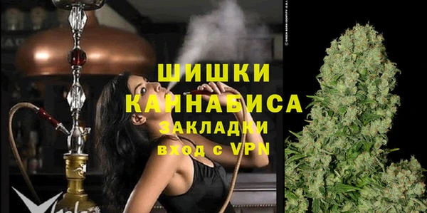 ECSTASY Гусь-Хрустальный
