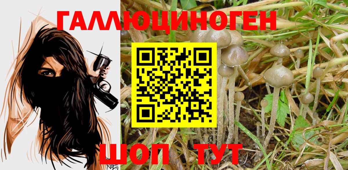 Галлюциногенные грибы MAGIC MUSHROOMS Кашира