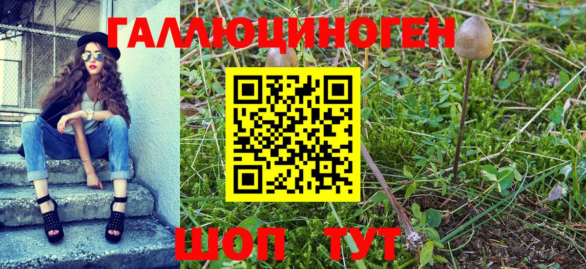 Псилоцибиновые грибы Psilocybine cubensis  Псилоцибиновые грибы MAGIC MUSHROOMS  Кашира  Вход с VPN 