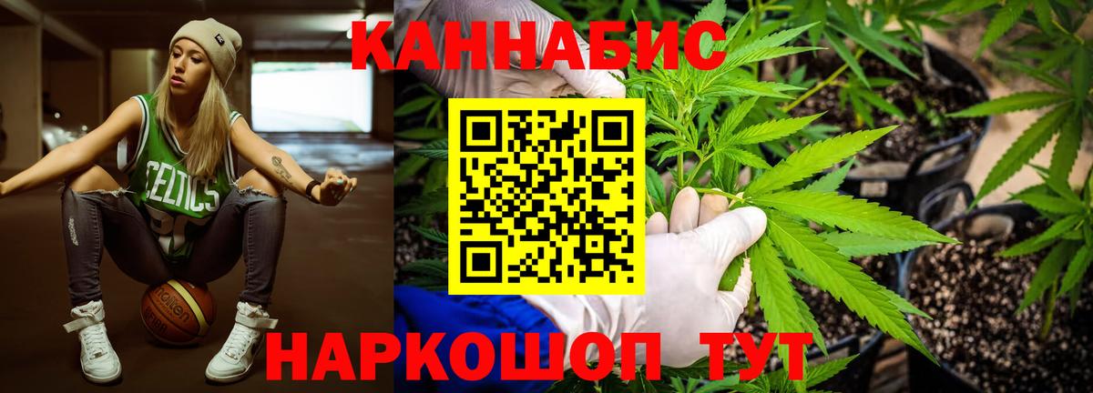 Каннабис White Widow Кашира